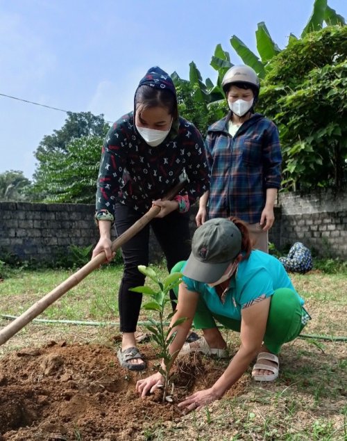 cây ăn quả 2.jpg