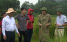 Hội thảo đánh giá kết quả thực hiện mô hình trình diễn giống lúa lai HD879 trên địa bàn huyện vụ Thu mùa năm 2023 
